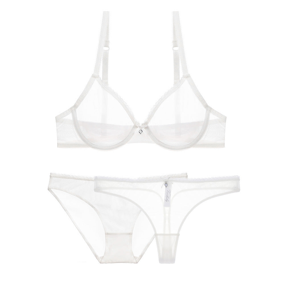 Transparent mesh bra set