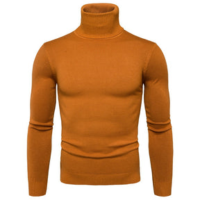 Winter Warm Thermal Turtleneck Sweater Solid Color Slim Fit Clothes Pullover